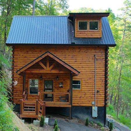 Hawks Nest Mountain Cabin Sevierville Dış mekan fotoğraf